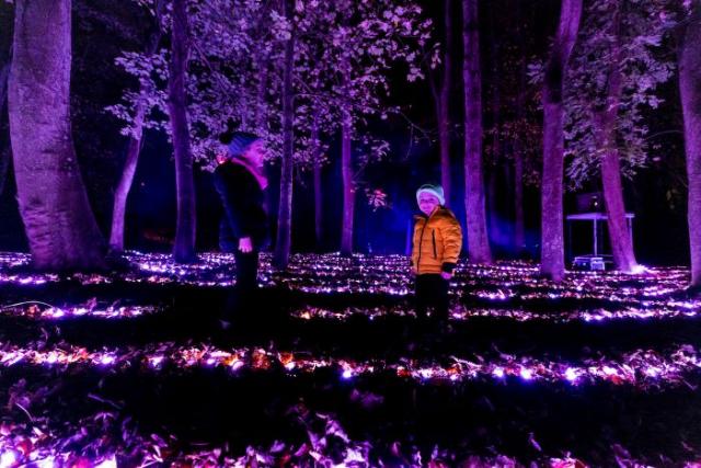 Wonderlights presents The Magic of Winter as the Spectacle Returns to Malahide Castle & Gardens