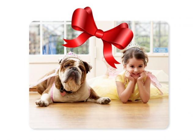 Picture-perfect presents: Fujifilms guide to gifting memories