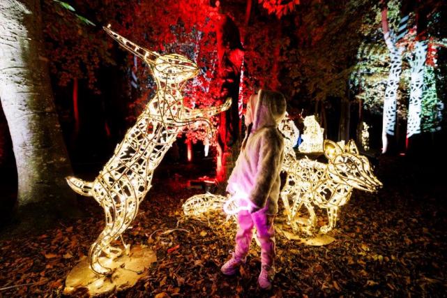 Wonderlights welcomes the brightest stars to Malahide Castle & Gardens on opening night