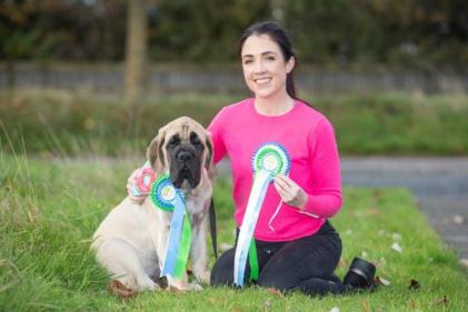 Pet Experts Petmania announce winning pup of Puppy of the Year competition
