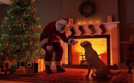 Grab your pets, friends & family for festive fun at Santa’s Christmas Challenge at the DSPCA
