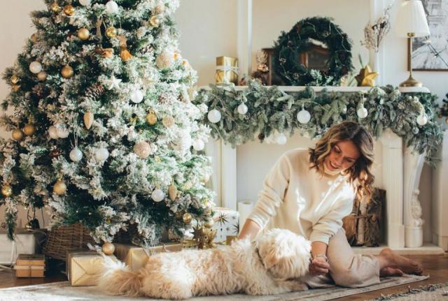 Pawsitively perfect presents for your pooch this Christmas