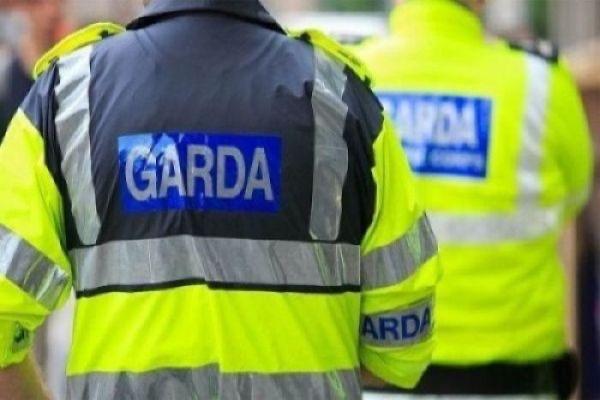 Gardaí launch appeal as 7-year-old Dublin boy is declared ‘missing presumed dead’