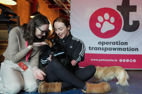 Petmania launches eighth annual wellbeing campaign ‘Operation TransPAWmation’
