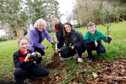 Attention primary schools: Coillte Photography Competition for National Tree Week 2024 open!