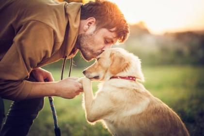 Keep your dog’s teeth and gums healthy with these five essential tips