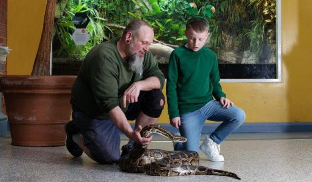 Dublin Zoo announces fun-filled St Patricks Day activities