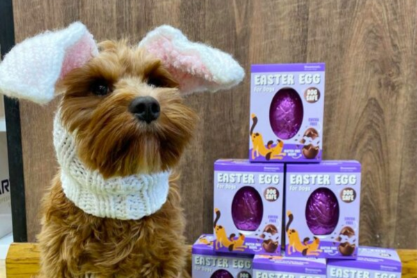 Petmania issues tips on how to keep furry friends safe throughout Easter