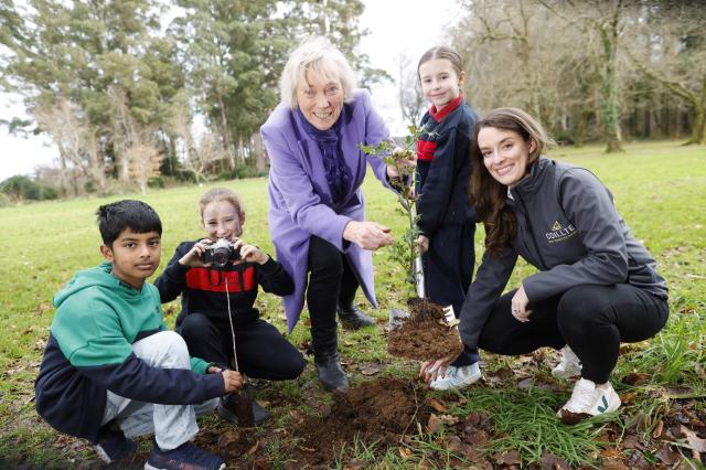 National Tree Week highlights importance of planting more trees