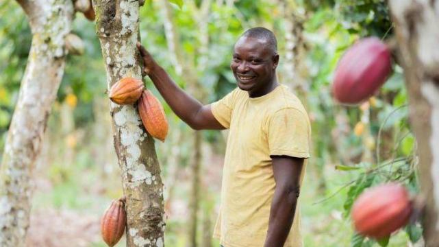 Nestlé uses guaranteed traceable cocoa ingredients for a range of Irelands chocolate brands