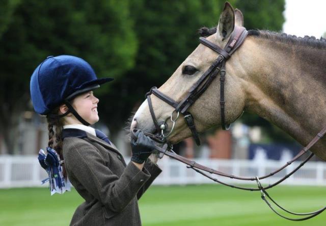 Family day out: the 2024 RDS Dublin Horse Show gallops back from August 14th-18th