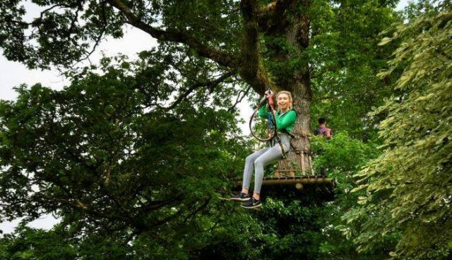 Zipit Forest Adventures: the ultimate outdoor experience for an unforgettable family midterm break