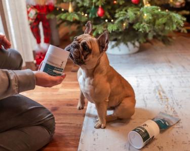 A sustainable Christmas surprise: Blue Pet Co.s nutritious gift box for dogs returns!