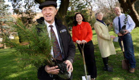 National Tree Week 2025 returns with calendar of FREE activities across communities in Ireland