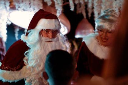 Step Into a Winter Wonderland: The Enchanted Christmas Garden at Arboretum Kilquade, Co. Wicklow