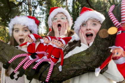 This Free Elf Tree in Cabinteely Park Is Pure December Magic