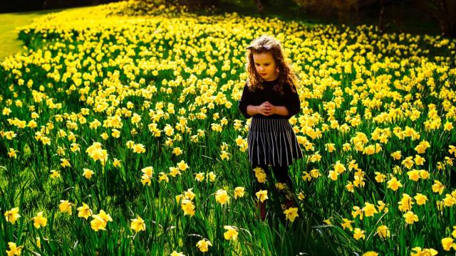 Mount Congreves Easter programme offers free nature fun for kids