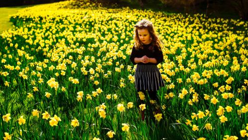 Mount Congreves Easter programme offers free nature fun for kids