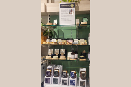 Homegrown at Arboretum: A feel-good family day out that supports Irish makers