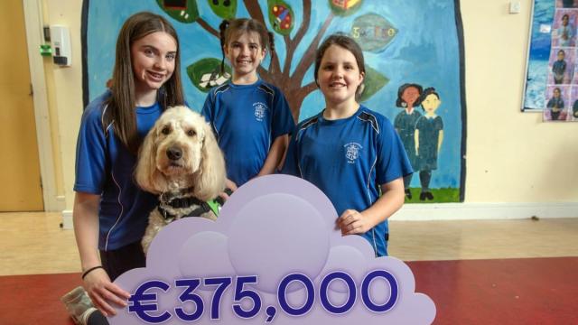 Currys Ireland raises €375,000 for autism service dogs across Ireland