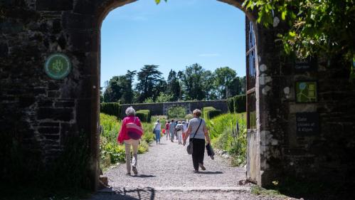 Johnstown Castle Garden Fair Is the Summer Day Out Your Family Deserves