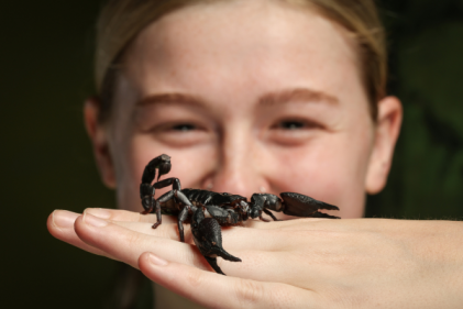 Irelands National Reptile Zoo is Celebrating 20 Incredible Years in Kilkenny