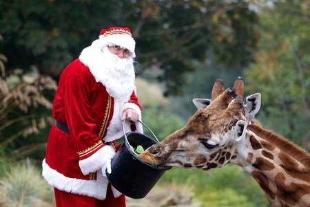 Santa at Dublin Zoo
