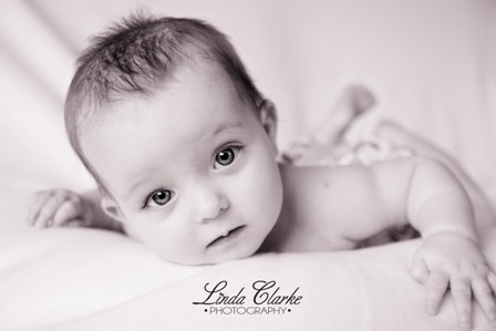 Linda Clarke Photography