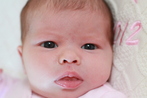Sorcha