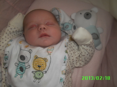 Laoise