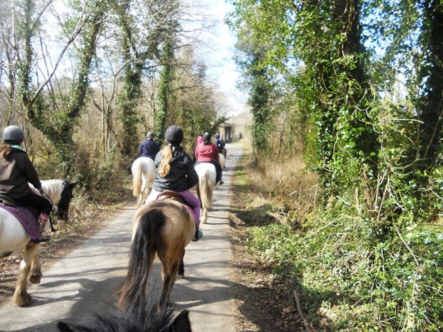 Clanabogan Riding Stables