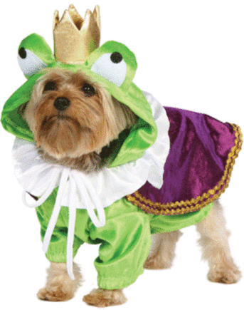 Froggy Doggy Costume