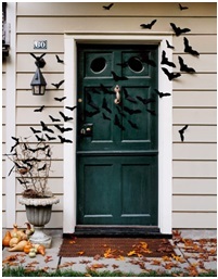Birds at the front door