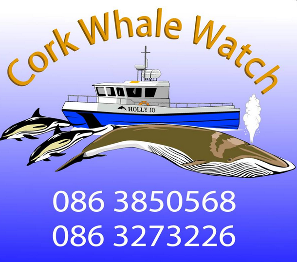 Cork Whale Watch