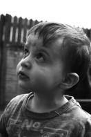 Alexander