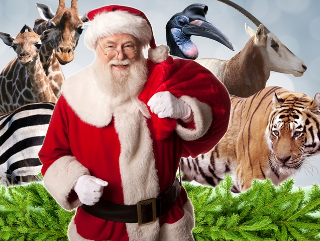 visit santa dublin zoo