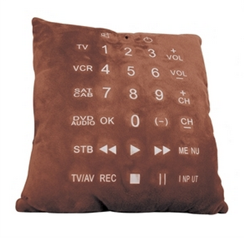 Remote control cushion