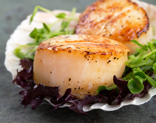 Seared scallops on lettuce