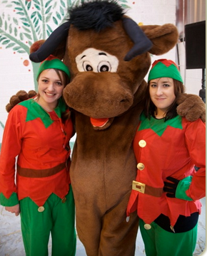 Santa at Winter Wonderland in Loughwell Farm Park