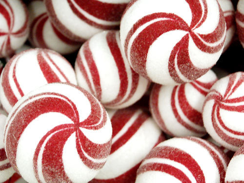 Peppermint bites