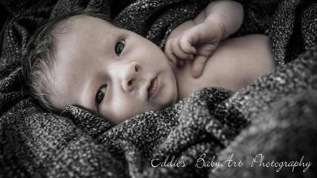 Eddies Baby Art Photography
