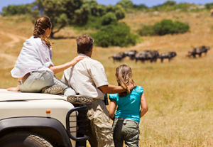 Family safari