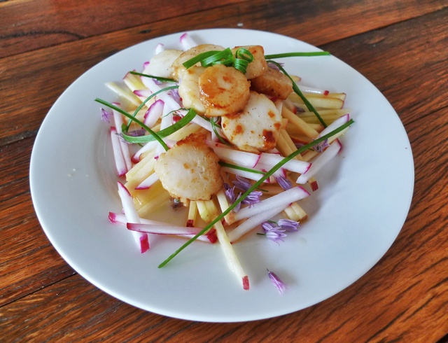 Seared scallops and apple salad 