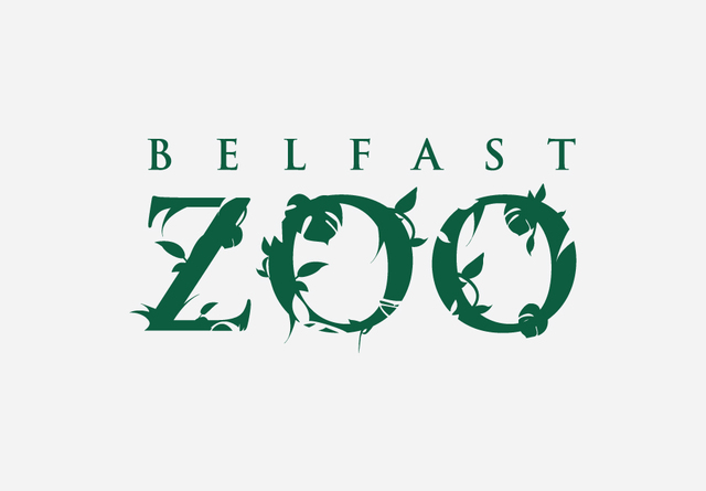 A Magical Christmas at Belfast Zoo