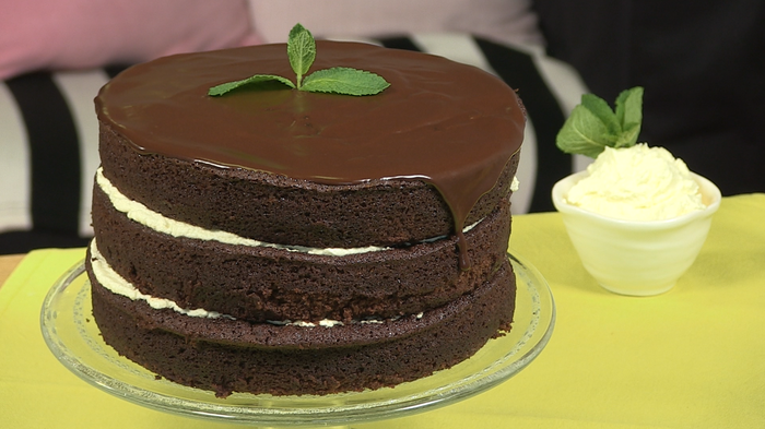 Chocolate strawberry sponge cake with mint Vector Image