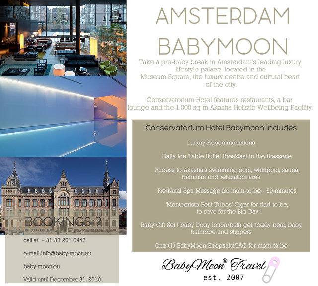 BabyMoon® Travel