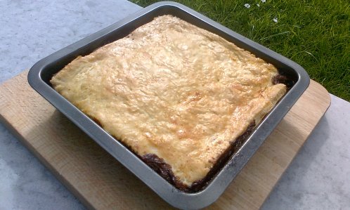 Steak &amp; onion pie