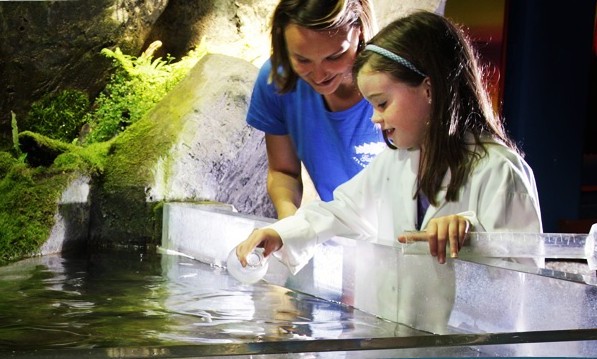 Galway Atlantaquaria Science 4 Summer