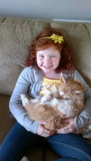 Laoise