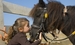 Ardmourne House Stables